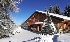 Chalet Lou Pennots - skis au pieds